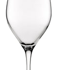 FT Sauvignon Goblet 20.25oz(58cl) - Pack 6