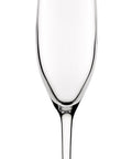 FT Arneis Champagne Flute 6oz(17.5cm) - Pack 6