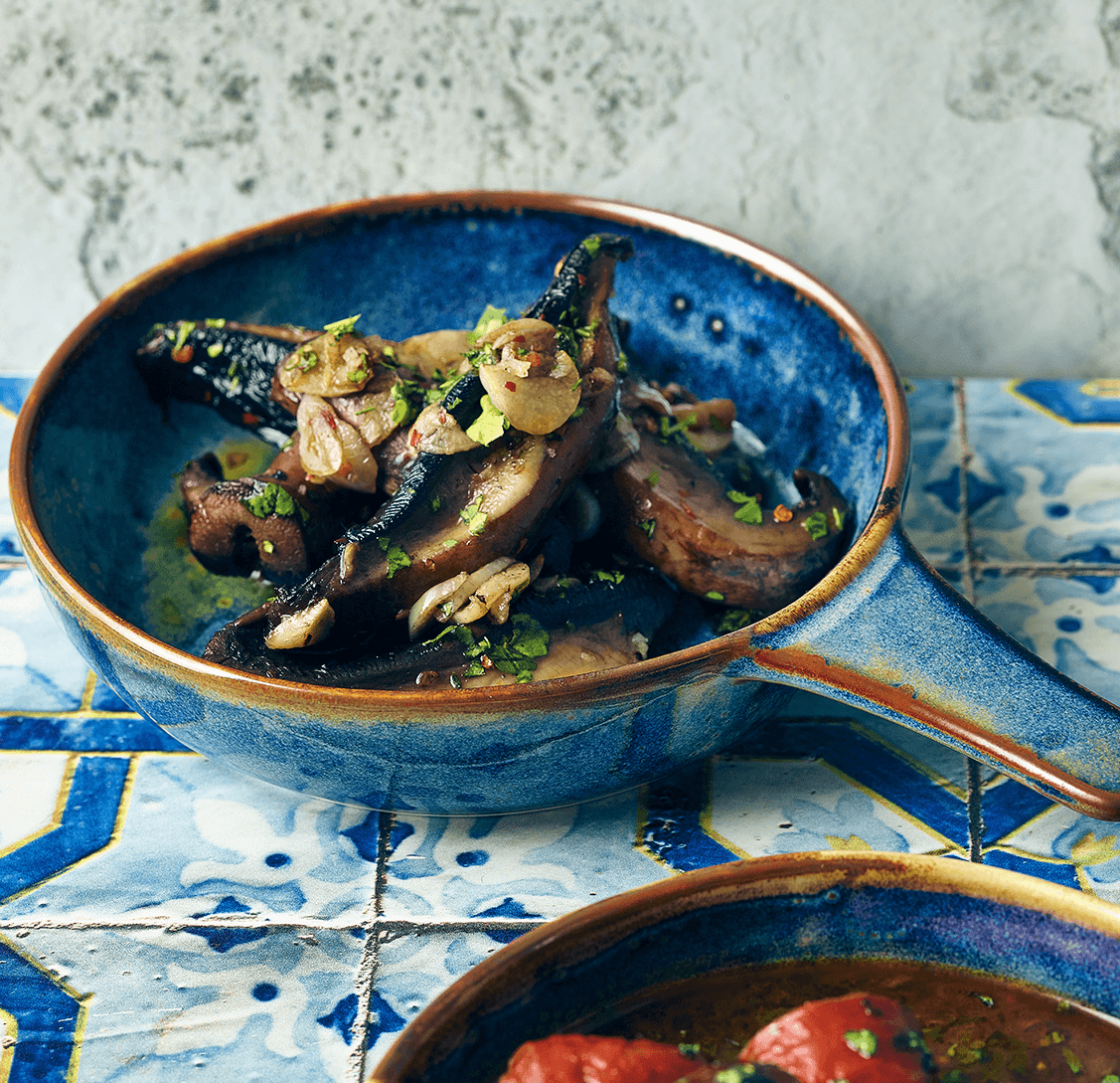 aqua blue terra porcelain bowl serving food