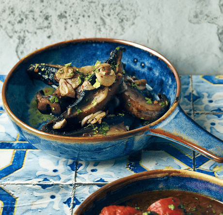 aqua blue terra porcelain bowl serving food