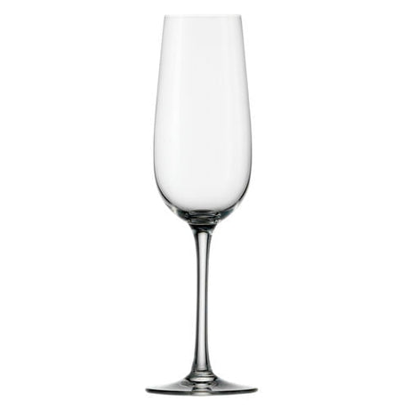 Weinland Champagne Flute 200ml/7oz - Pack 6