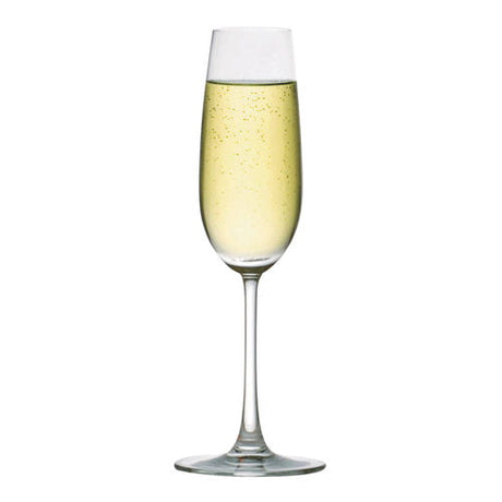 Madison Champagne Flute 7.4oz/21cl - Pack 6