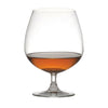 Madison Cognac Glass 650ml - Pack 6