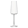 A single champagne flute with a clear, smooth glass design, featuring an extended upper rim and a sturdy base.