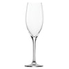 Classic Champagne 240ml/8.5oz - Pack 6