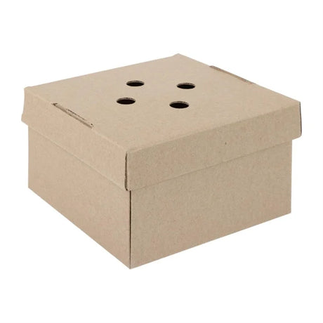 Brown cardboard box with holes for ventilation on a white background
