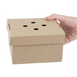 Hand holding a Kraft cardboard box with ventilation holes on a white background