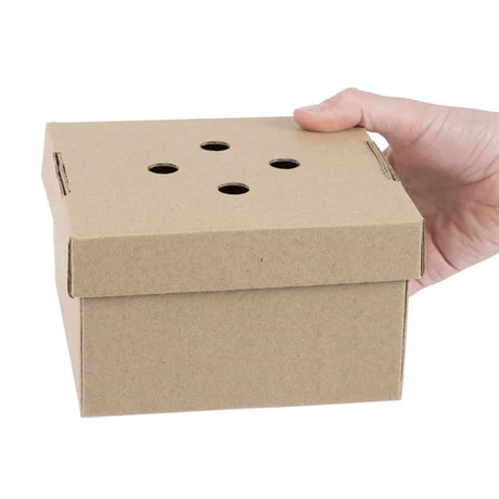 Hand holding a Kraft cardboard box with ventilation holes on a white background