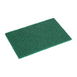 Green scrubber on a white background