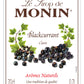 Monin Blackcurrant Flavoured Syrup 70cl