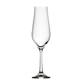 Tulipa Flute 6oz (17cl) 6pk