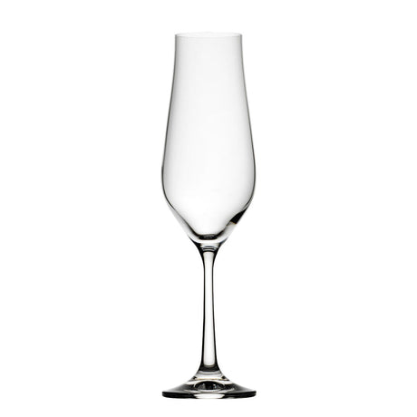 Tulipa Flute 6oz (17cl) 6pk