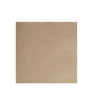 Recycled Napkin 2ply 33cm 2000pk