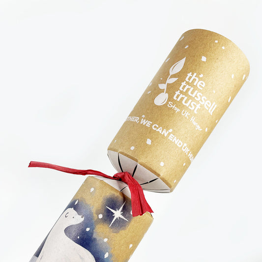 Plastic Free Polar Bear Charity Crackers - 12 Pack